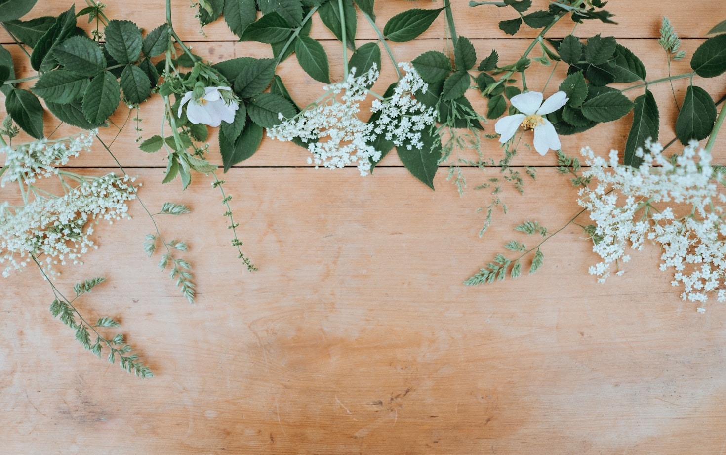 Comment les élixirs floraux peuvent améliorer votre vie